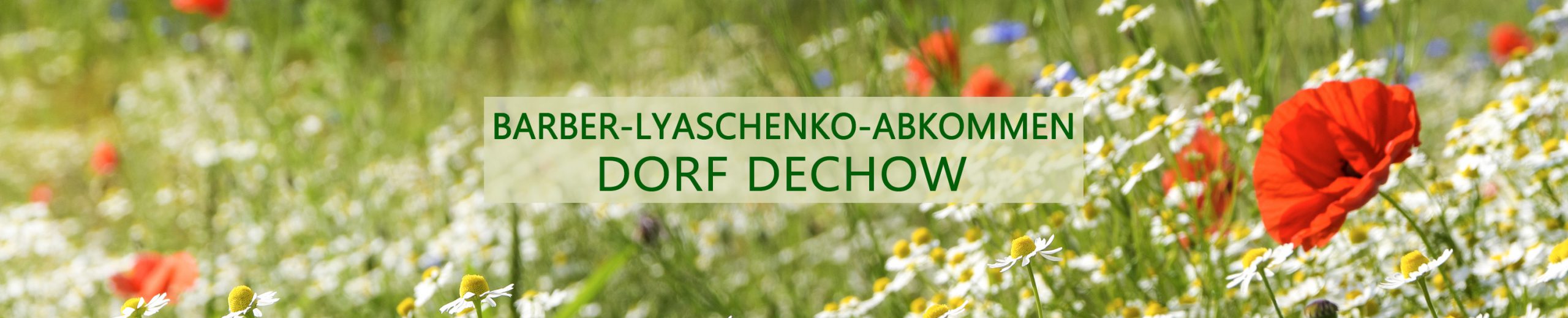 Barber–Ljaschtschenko–Abkommen Dorf Dechow
